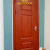 CỬA THÉP VÂN GỖ ĐƠN SANG XỊN